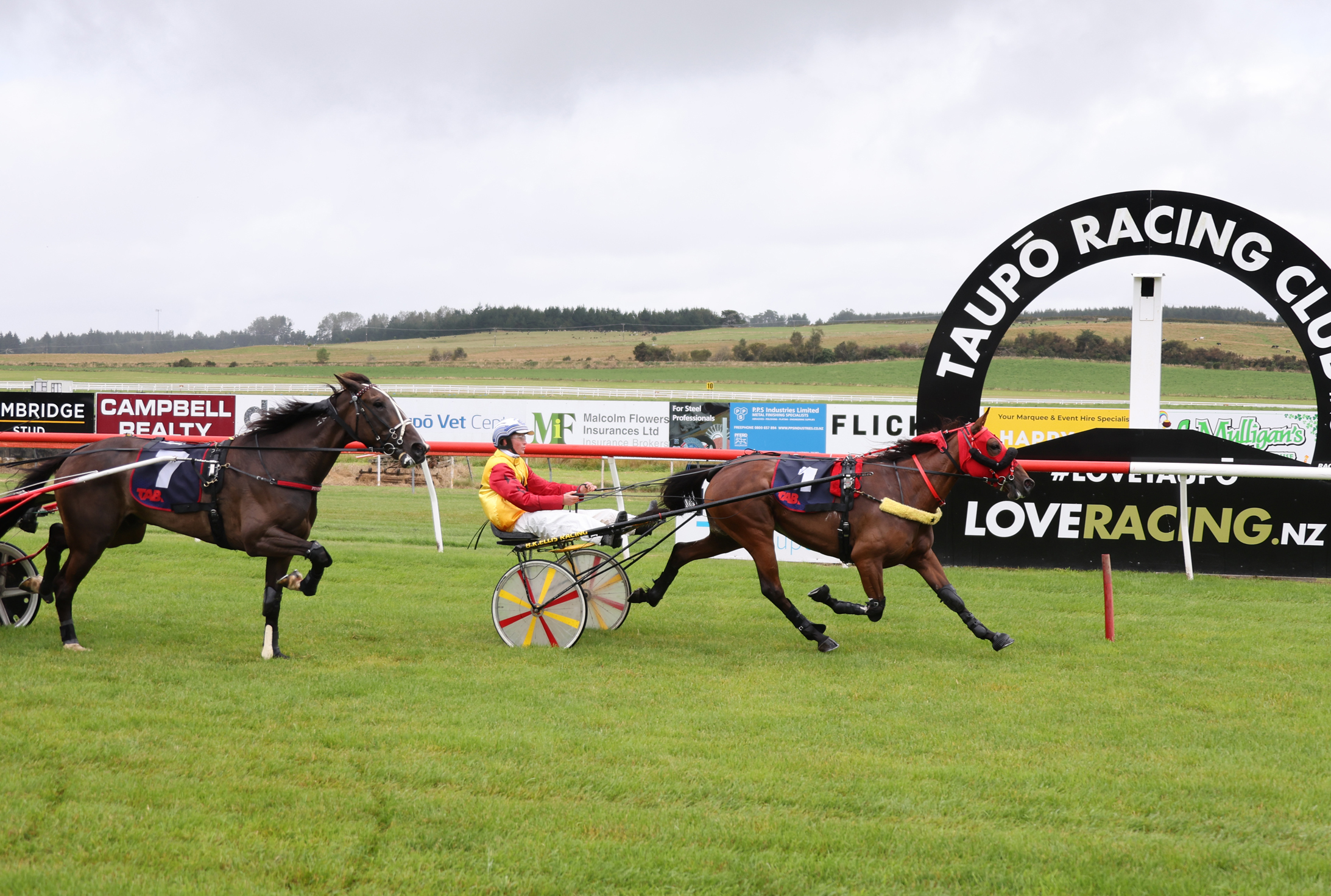 BUYNOWPAYLATER WAIKATO HARNESS AT TAUPO 1 2026 RACE IMAGES PHOTO PETER RUBERY 0 H7 A3635