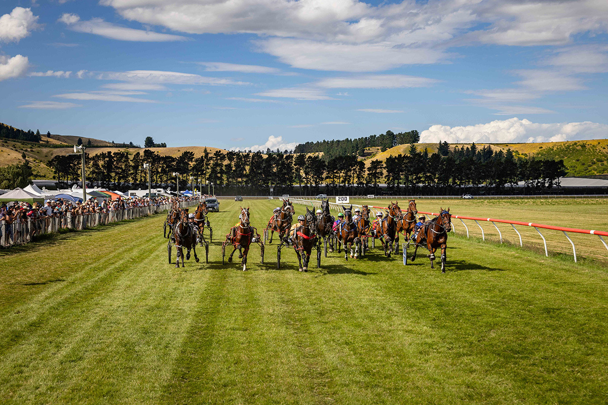 Grass Track from back of mobile