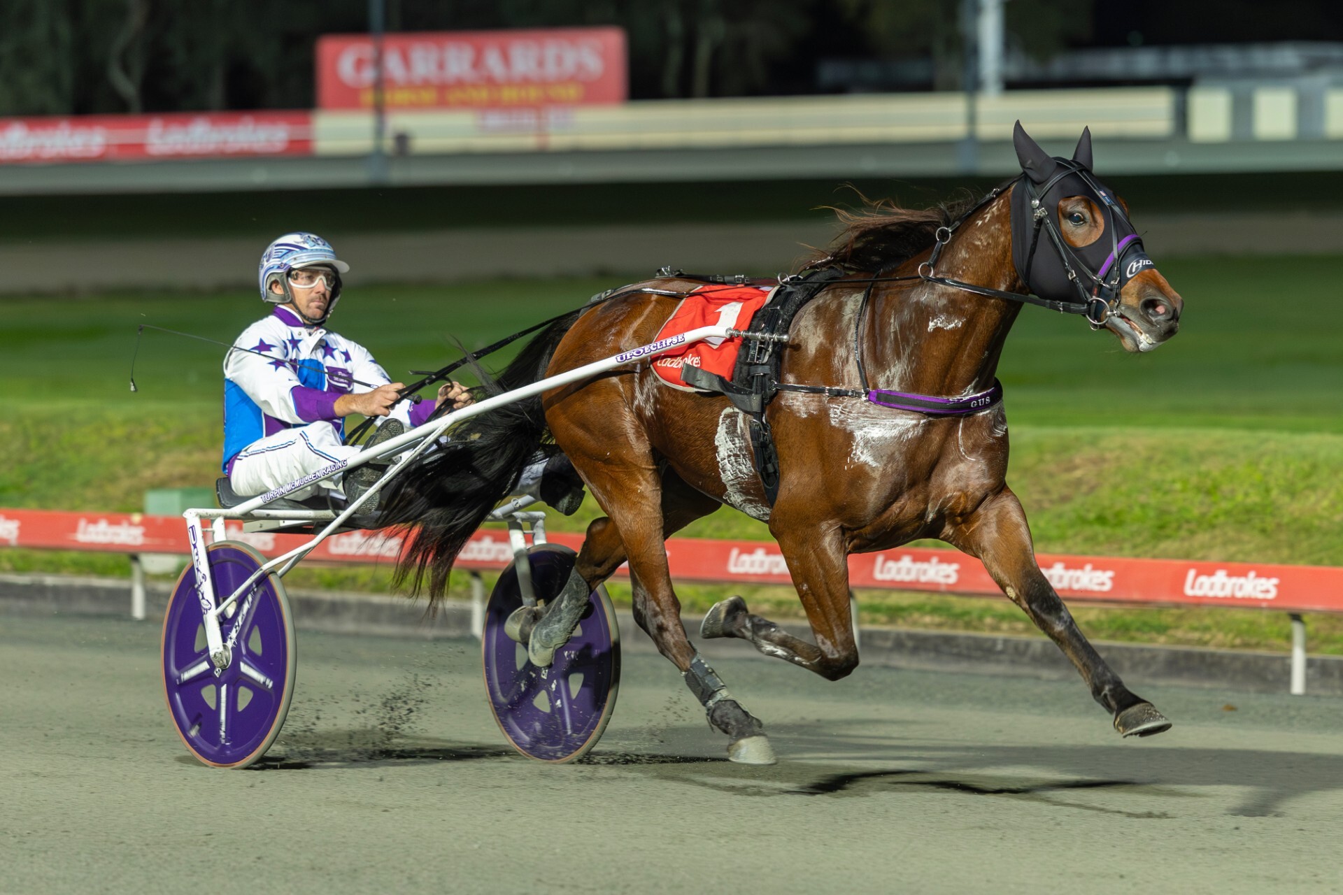 Gus Albion Park Pete Mc Mullen June 2026