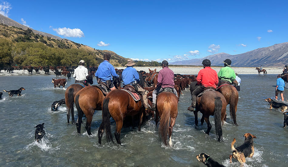 Huxley Gorge mustering river blog