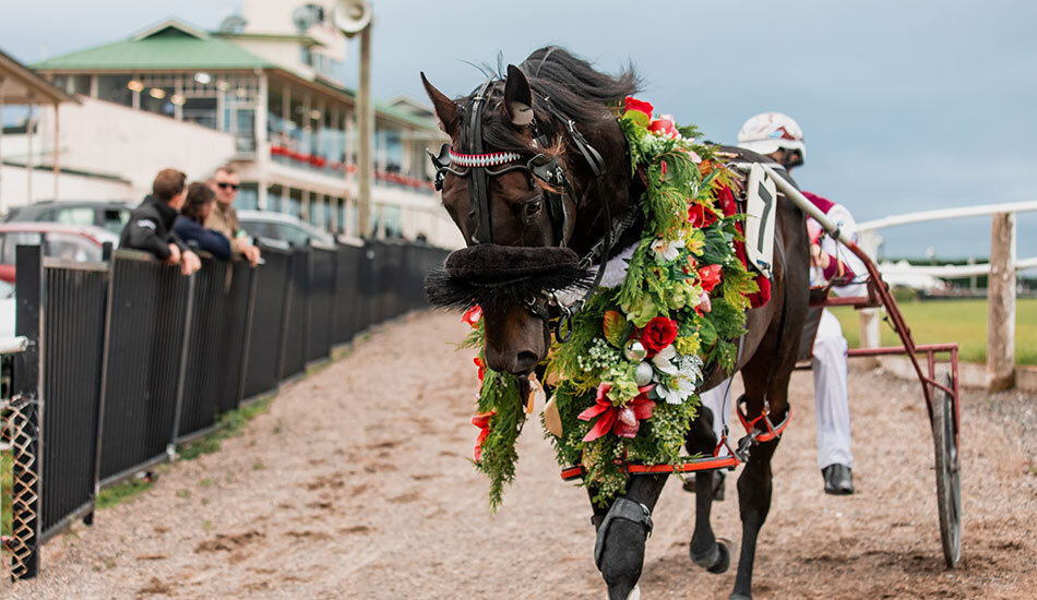 Krug 2022 Invercargill Cup blog