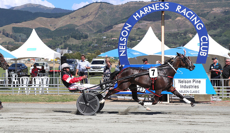 Mighty Looee Nelson blog