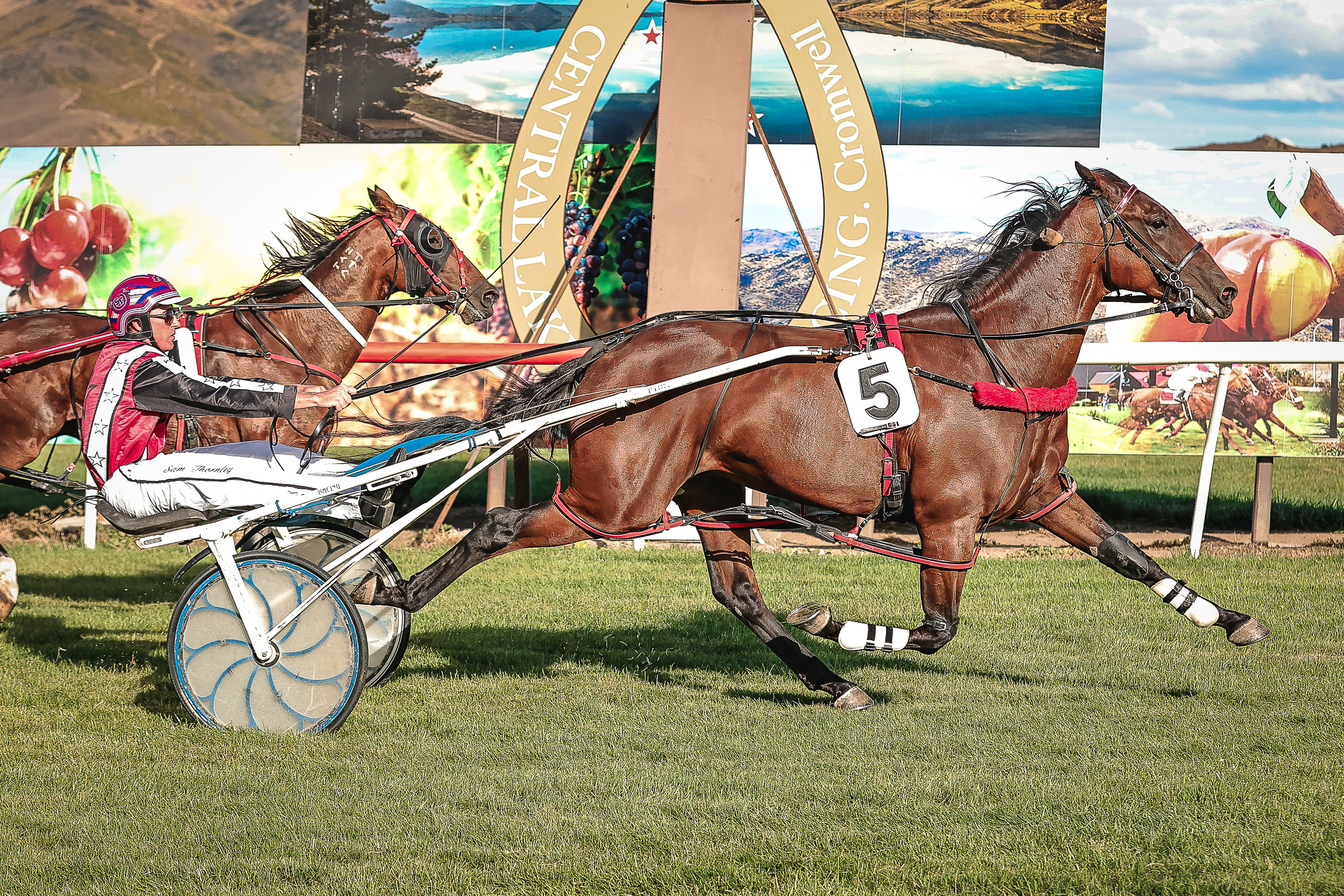 Monica Toretto Light Me Up 7276