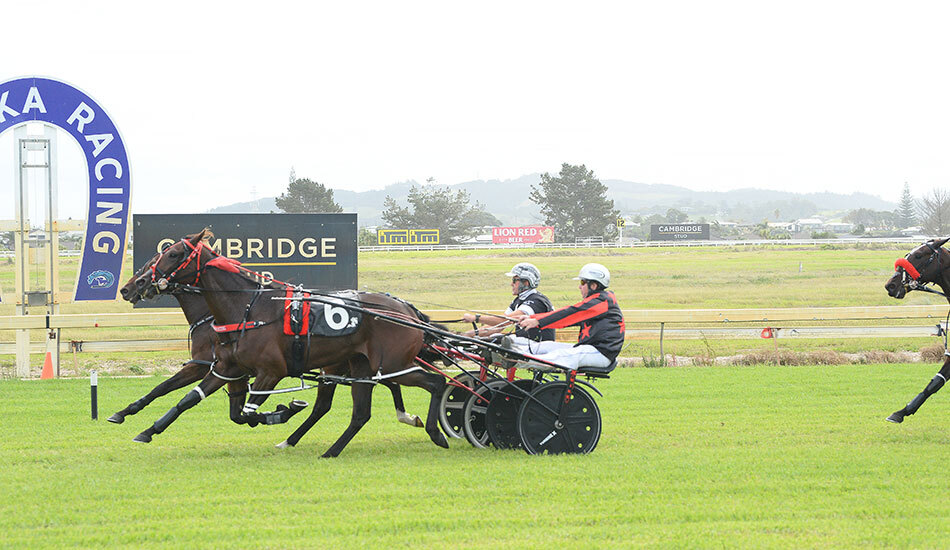 Mr Putt Ruakaka blog April 2026