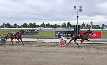 Rhaegal card Manawatu Feb 2026