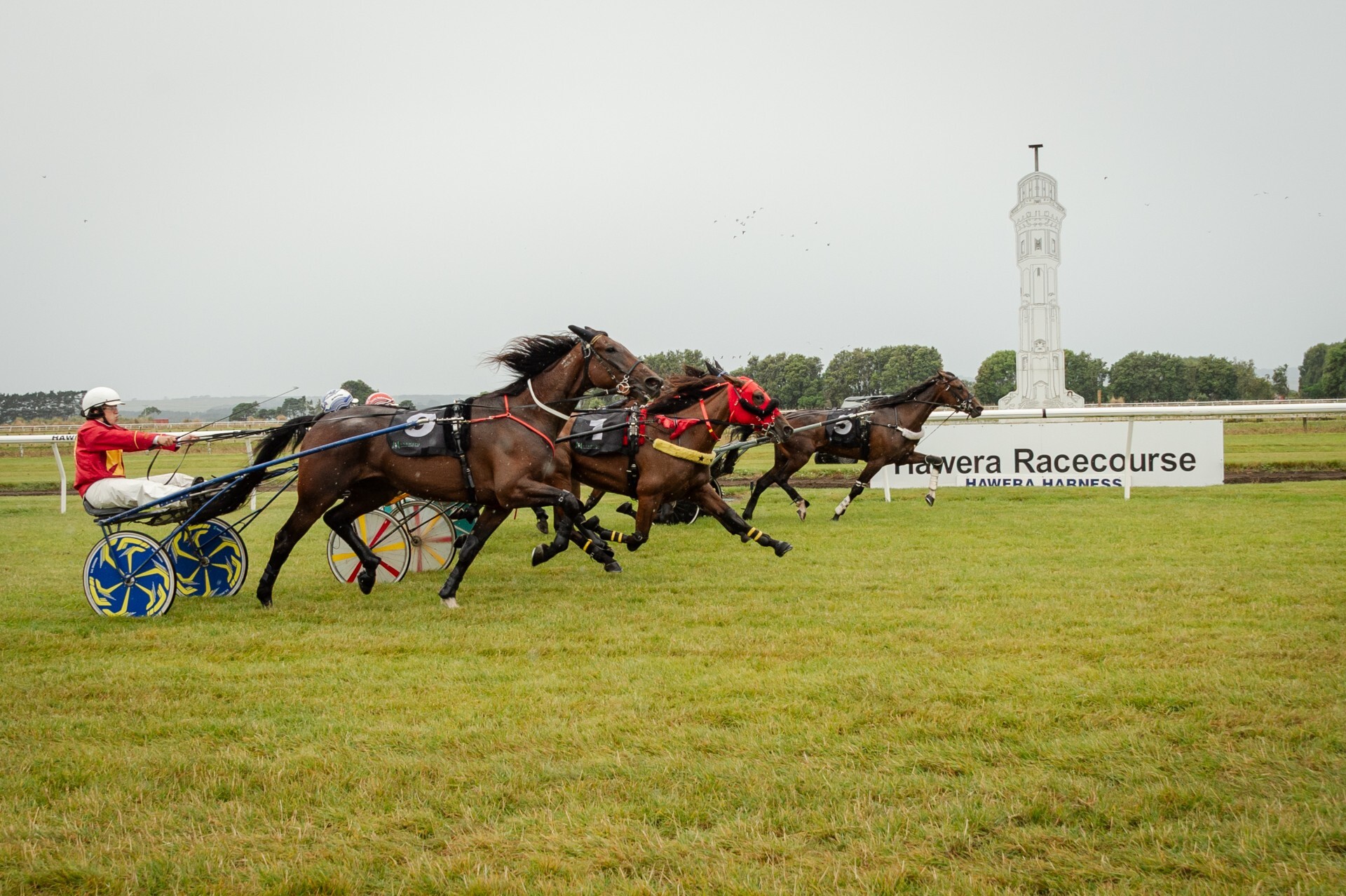 Senior Constable Liz Hawera Jan 2026