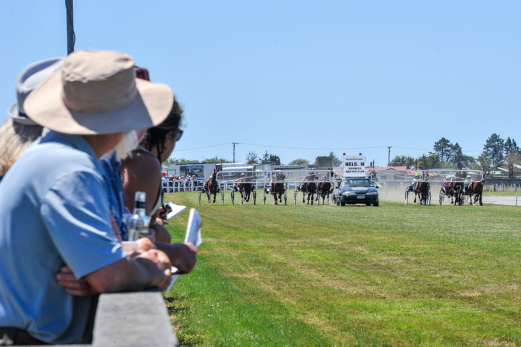 WESTPORT CROWD FOUR 6409