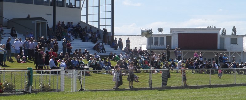 Winton Crowd